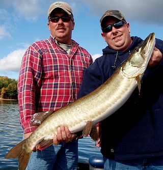 Fall Muskie Hunting Is Trophy Time