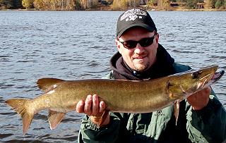 Fall Muskie Fishing Is Great!