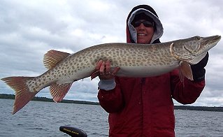 47 1/2 inch Muskie Caught by Tera Neibauer