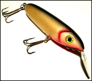 Go-Getter Golden Shiner Color