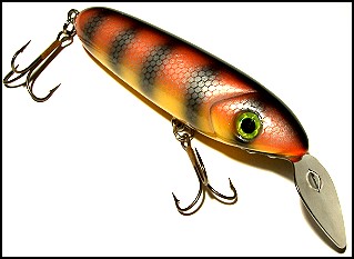 Go-Getter Orange Perch Color