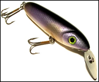 Go-Getter Purple Cisco Color