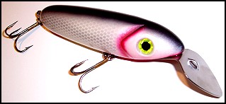 Go-Getter Shiner Color