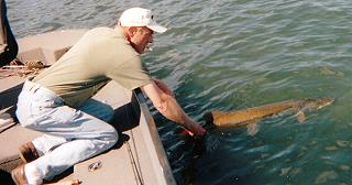 Hayward Wisconsin Musky Fishing Guide Service