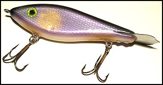 Warlock - Purple Cisco Color
