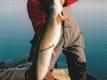 muskie_fishing_guide_hayward_wisconsin_1