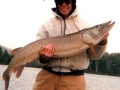 muskie_fishing_guide_hayward_wisconsin_2