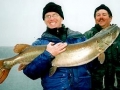 muskie_fishing_guide_hayward_wisconsin_5