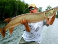 muskie_fishing_guide_hayward_wisconsin_7