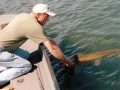 muskie_fishing_guide_hayward_wisconsin_release_1