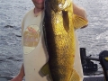 s 27 Inch Walleye